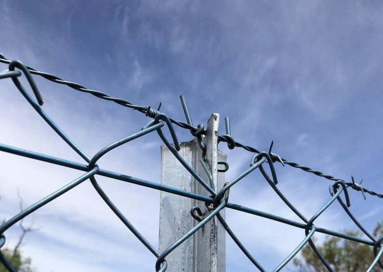 Preço do Chainlink Continua a Oscilar em Torno de $12,5 — Níveis para Observar 