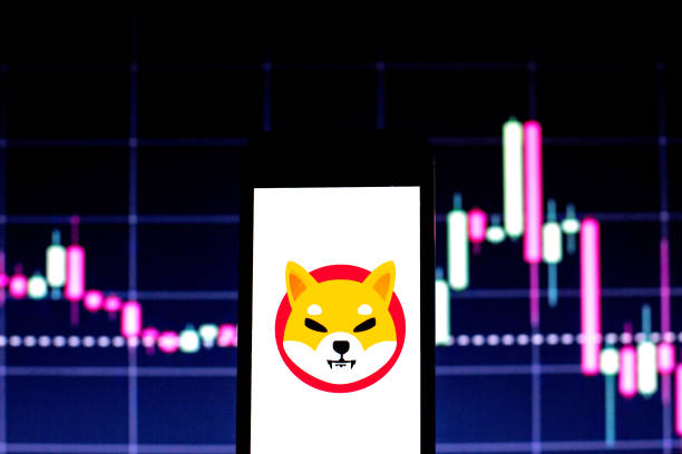 Reservas de Shiba Inu em Exchanges Atingem o Nível Mais Baixo Desde 2023 — Por Que um Aumento de Preço Pode Seguir 