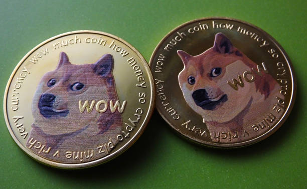 Ciclo de 4 Anos Diz que o Preço do Dogecoin Alcançará R$5, Veja o Motivo 
