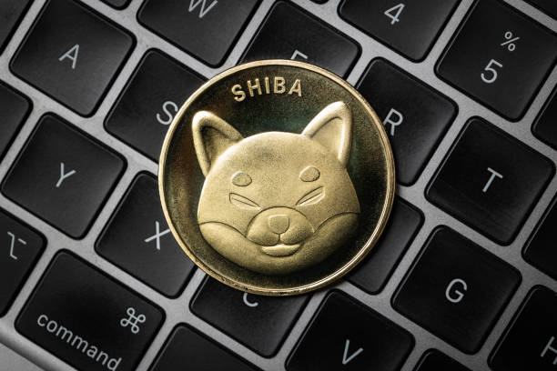 O Shibarium do Shiba Inu sofre queda em métrica importante, o preço do SHIB está em risco? 