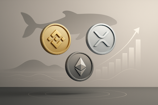 Volumes de baleias de BNB e XRP disparam enquanto traders monitoram sinais ocultos de acumulação. 
