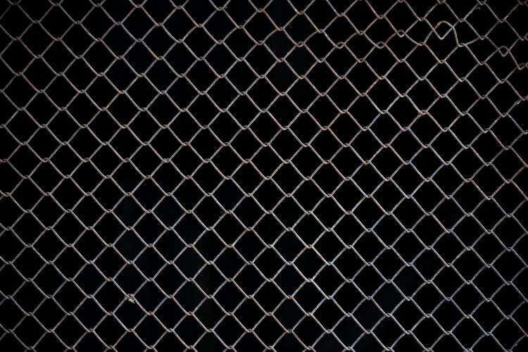 Baleias do Chainlink acumulam $150 milhões em LINK em duas semanas – Mais ganhos à frente? 
