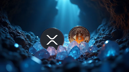 Manter 0.0027 Bitcoin ou 100 XRP? Especialista de Mercado Alega Que Isso É Melhor