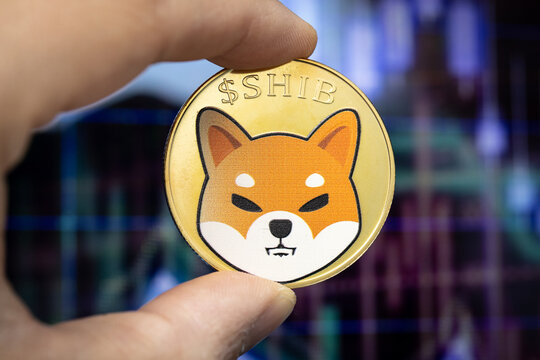 Shiba Inu Mostra Rara Reversão de Alta — É Possível um Movimento de 570% para $0,000081? 