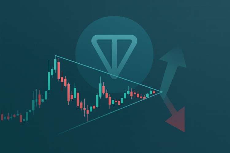 Toncoin (TON) Rumo a um Movimento de Preço de 50%, Explica Analista 