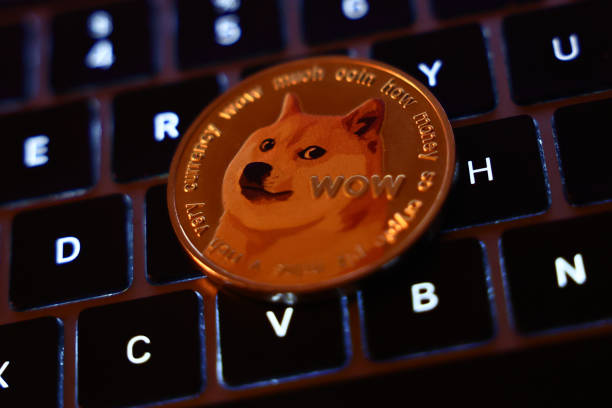 Níveis Históricos de Risco Indicam que o Preço do Dogecoin Ainda Não Atingiu o Pico, Mais Alta a Caminho? 
