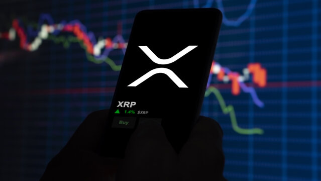 Zach Rector Coloca XRP Contra o Resto do Mercado – Aqui Estão os Resultados 