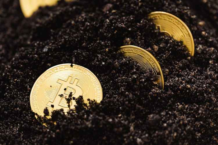 Um Endereço de Bitcoin Inativo Move 400 BTC Após Mais de Uma Década 