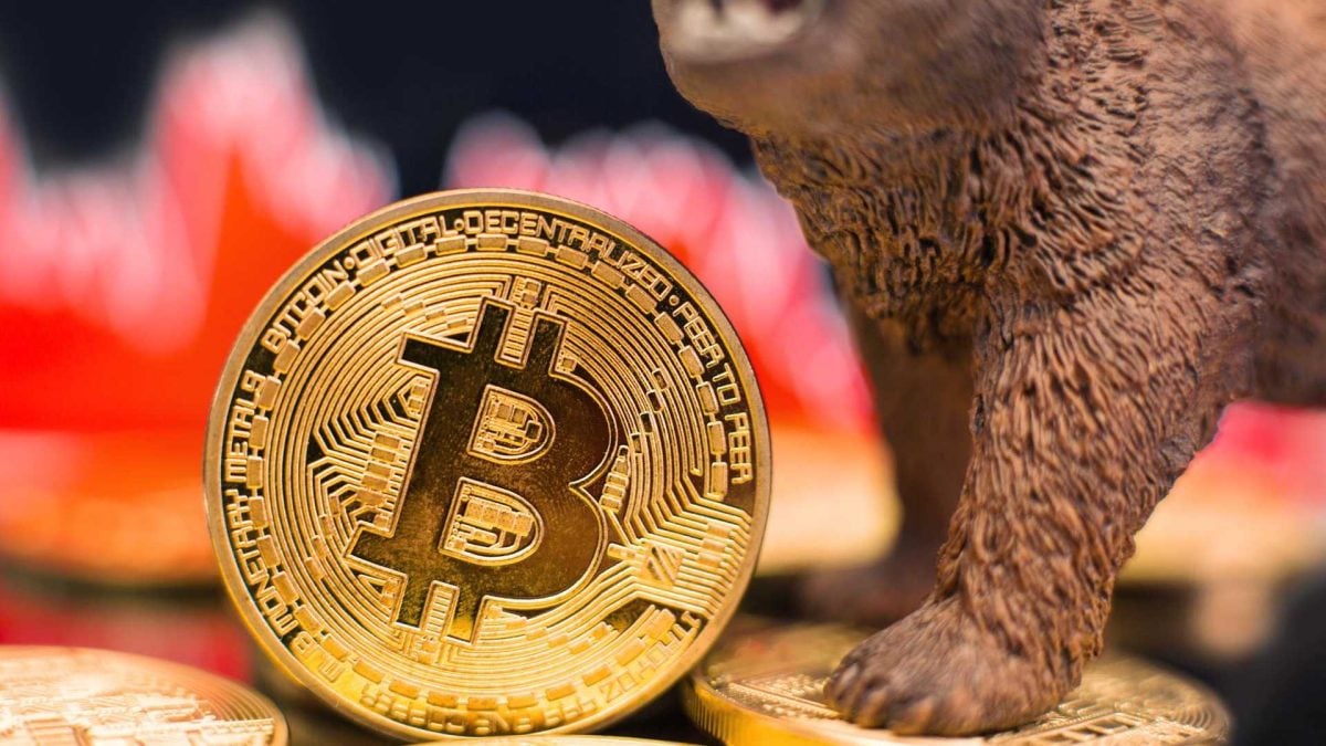 Bear market longo tem queda moderada e reset de alavancagem do bitcoin